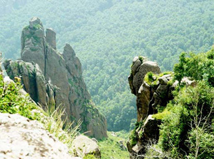 ����ʲ̨����ɭ�ֹ�԰